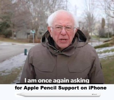 bernieApplePencil.jpg