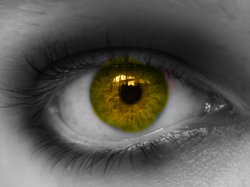 Eye BW Yellow.jpg