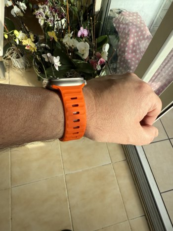 IMG_0448.jpeg