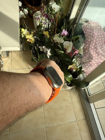 IMG_0451.jpeg