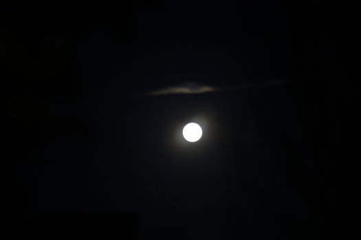 P1000150DL.jpg