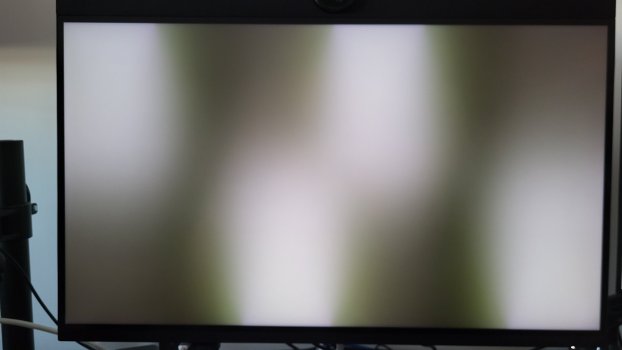 20250314_094310.jpg