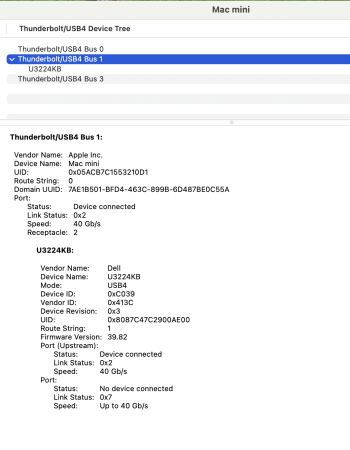 SystemInfo_Thunderbolt_D5ZK834_Oct2024_SerNo_A07.png