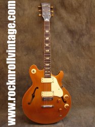 1973-gibson-les-paul-signature b.jpg