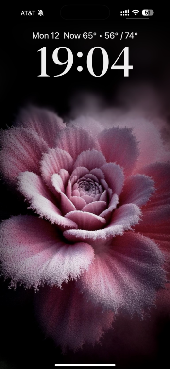 IMG_4692.png