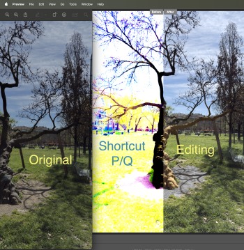 Camera Raw original replaced.png