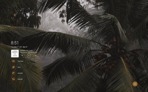 Screenshot_20250527_085157_Niagara Launcher.jpg