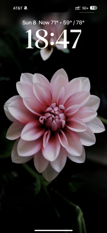 IMG_5307.png