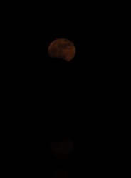 20090409_0104 moon.jpg