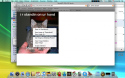 Picture 1.png