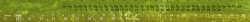 11.gif
