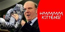 ballmer-kittens.jpg