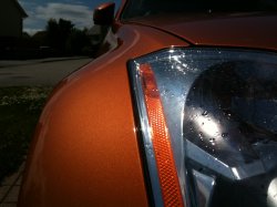 IMG_0232.JPG