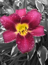 IMG_0457.JPG