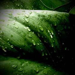 IMG_0459.JPG