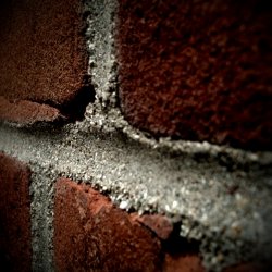 IMG_0462.JPG