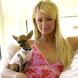 paris_hilton-1.jpg