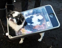 iphone20costume203-dog.jpg