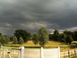 IMG_0104.jpg