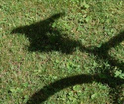 Bike Shadow-800-b.jpg