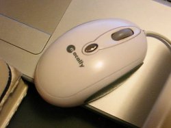 mouse.jpg