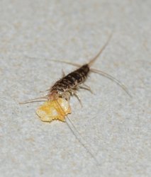 DSC_0039.JPG