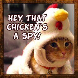 chickenspy.jpg