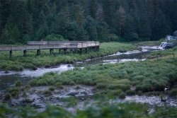 2009-7-28-Fishing-Bears.jpg