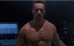 arnoldterminatortop.jpg