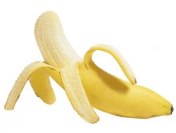 banana1.jpg