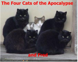 4CatsOfTheApocalypseAndFred.png