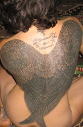 IMG_9086_1.jpg