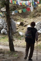 tibetan_pilgrim_walk.jpg