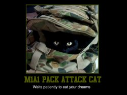 packcat.jpg