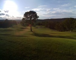 IMG_0576.jpg