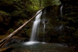 Tressle Creek Falls.jpg