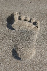 Footprint resized.jpg