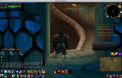 FireFoxWoW.jpg