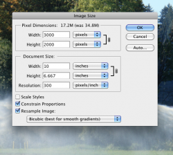 Screen shot 2009-10-10 at 1.18.32 PM.png