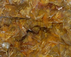 Wulfenite (New Mexico).JPG