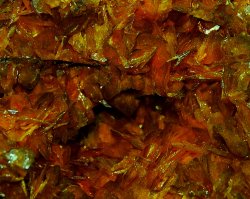 Wulfenite (New Mexico)-a01.JPG