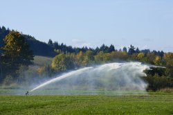 FieldSpray.jpg