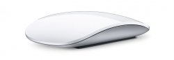 magic mouse.jpg