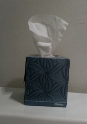 Screen shot 2010-02-21 at 1.29.05 PM.png