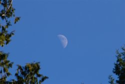 2010-02-21 Daylight moon - DSC_5594.jpg