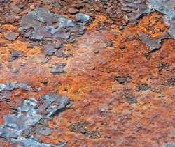 rust-1-900.jpg