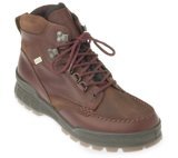 ecco_hiking_boots.jpg