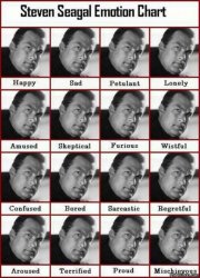 Steven_Seagal_Emotions.jpg