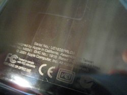 IMG_3914.jpg