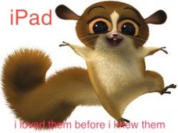 mort.jpg